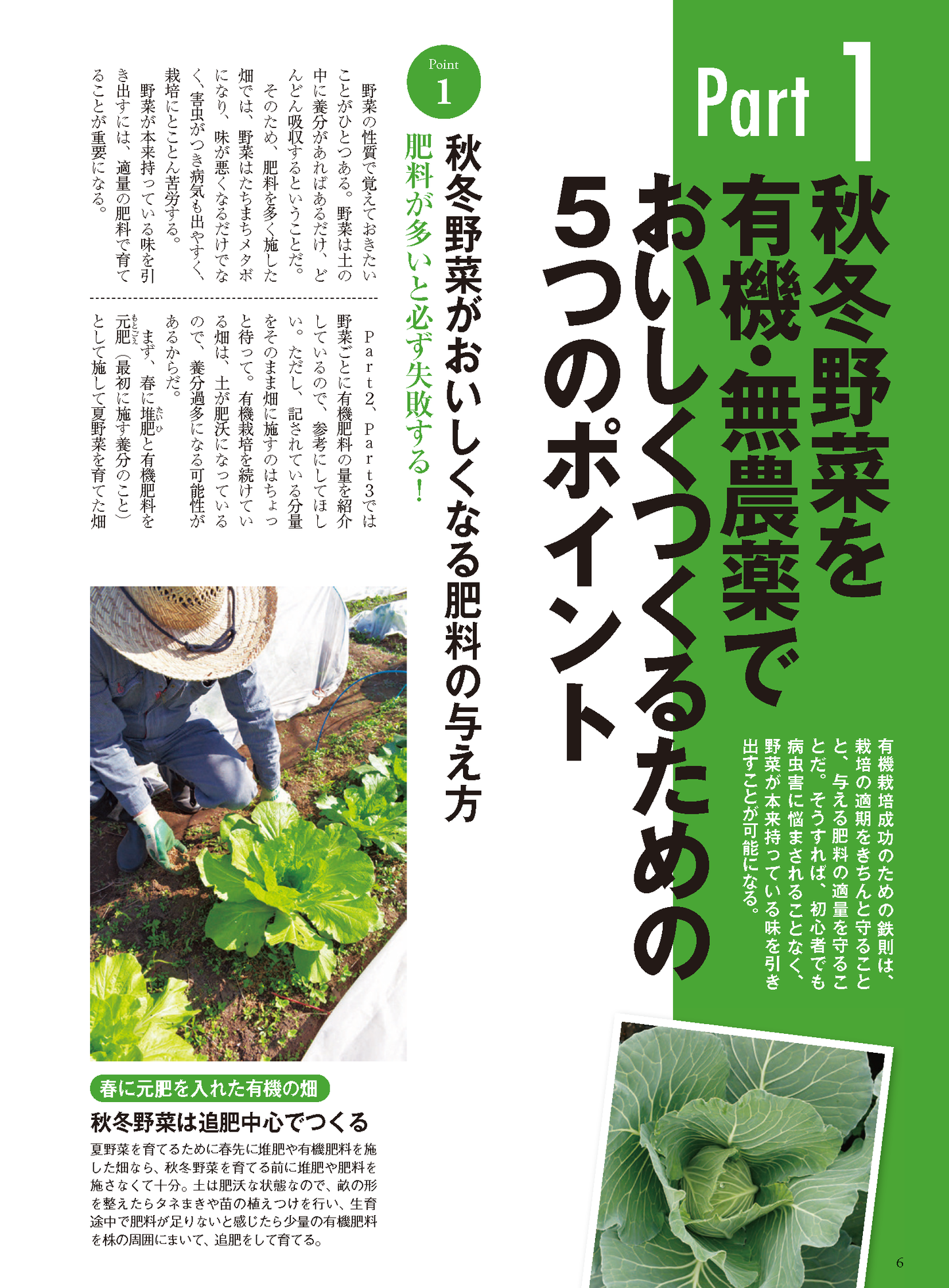 【電子版】秋冬野菜づくり 超基本とコツのコツ 2023年版(122308)