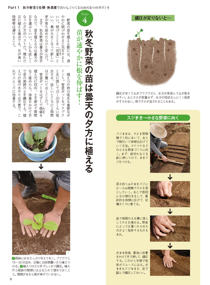 【電子版】秋冬野菜づくり 超基本とコツのコツ 2023年版(122308)