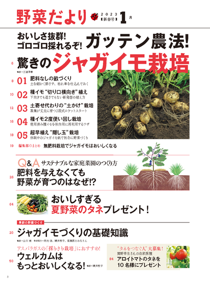 【書籍】野菜だより2023年1月新春号(112301)