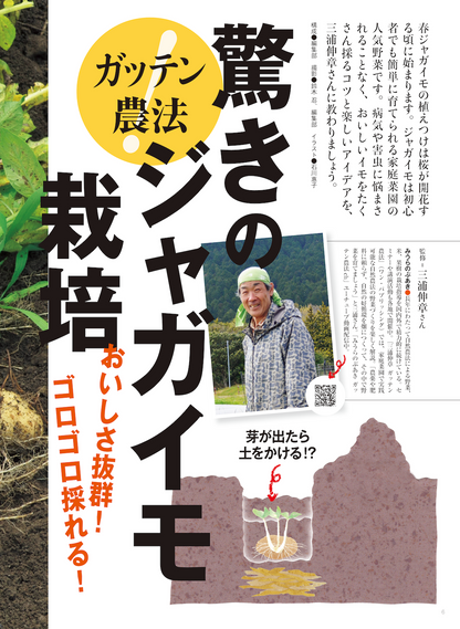【書籍】野菜だより2023年1月新春号(112301)