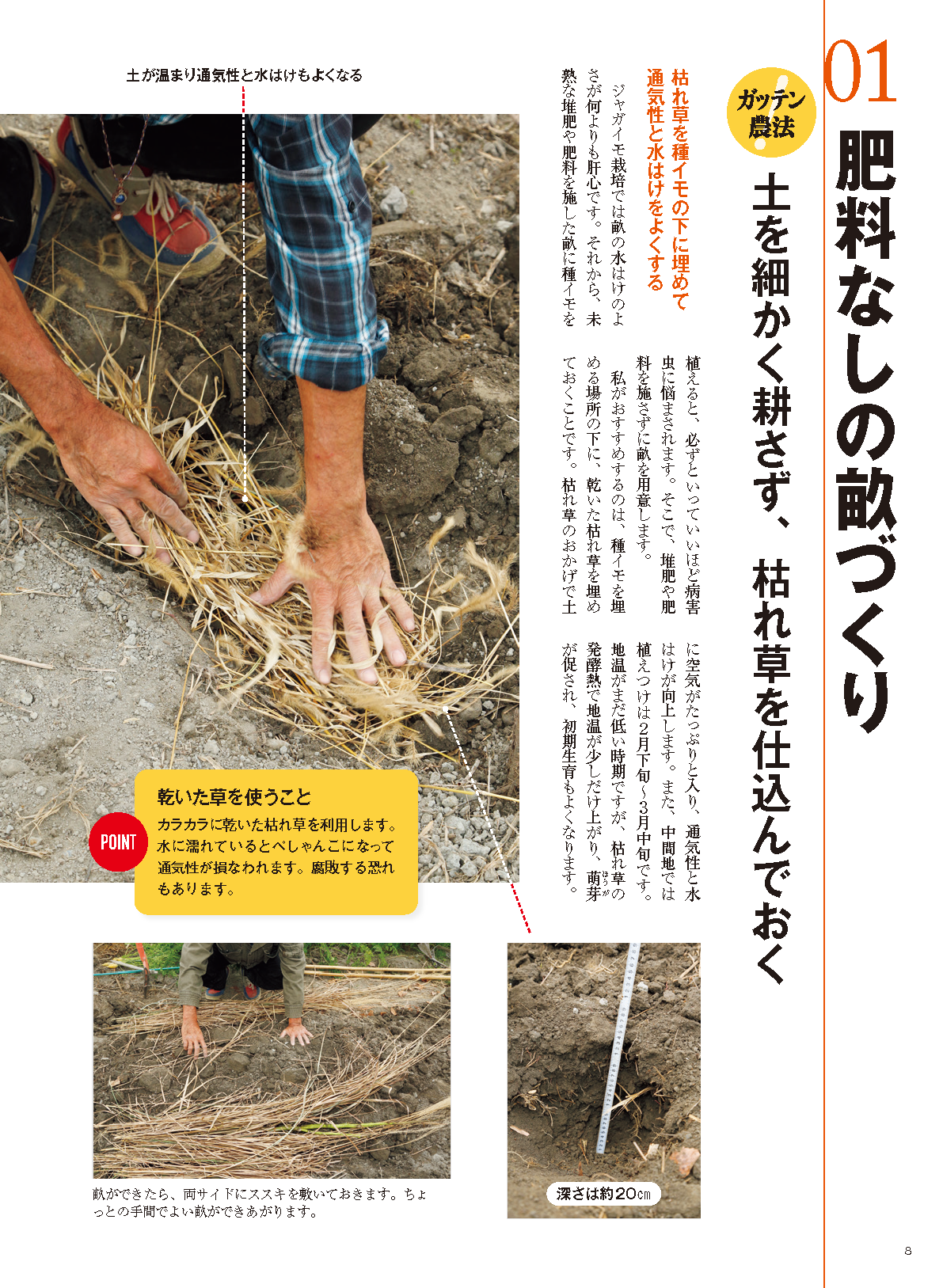 【書籍】野菜だより2023年1月新春号(112301)