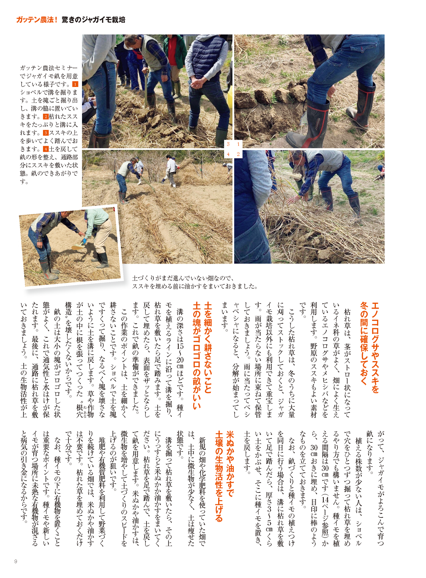 【書籍】野菜だより2023年1月新春号(112301)