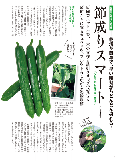 【書籍】野菜だより2023年3月春号(112303)
