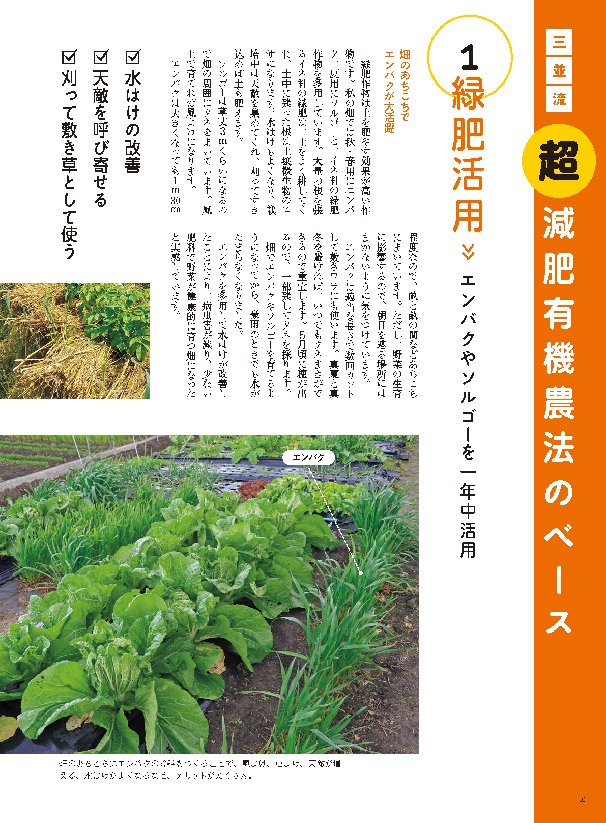 【書籍】野菜だより2023年3月春号(112303)