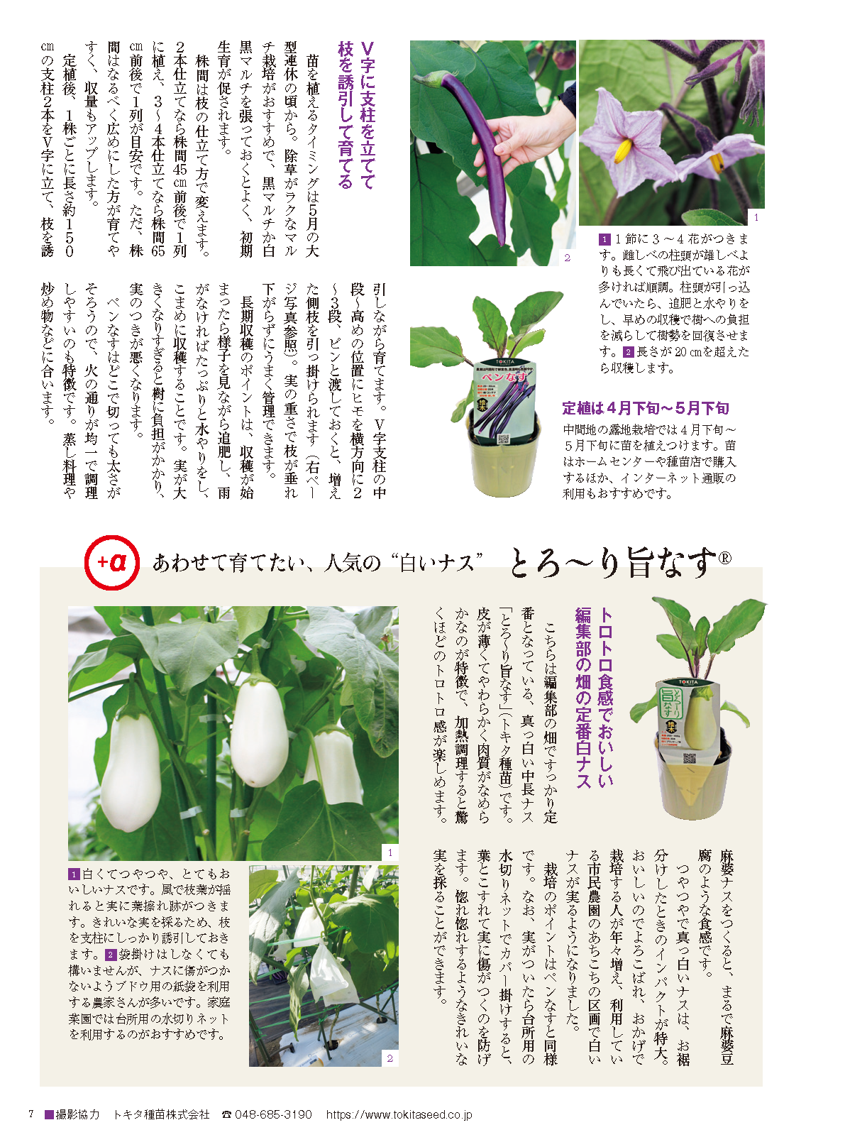 【電子版】野菜だより2023年5月初夏号(112305)