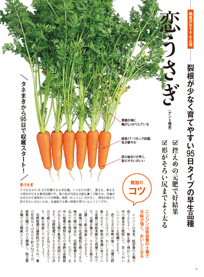 【電子版】野菜だより2023年7月夏号(112307)