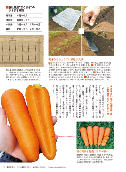 【電子版】野菜だより2023年7月夏号(112307)