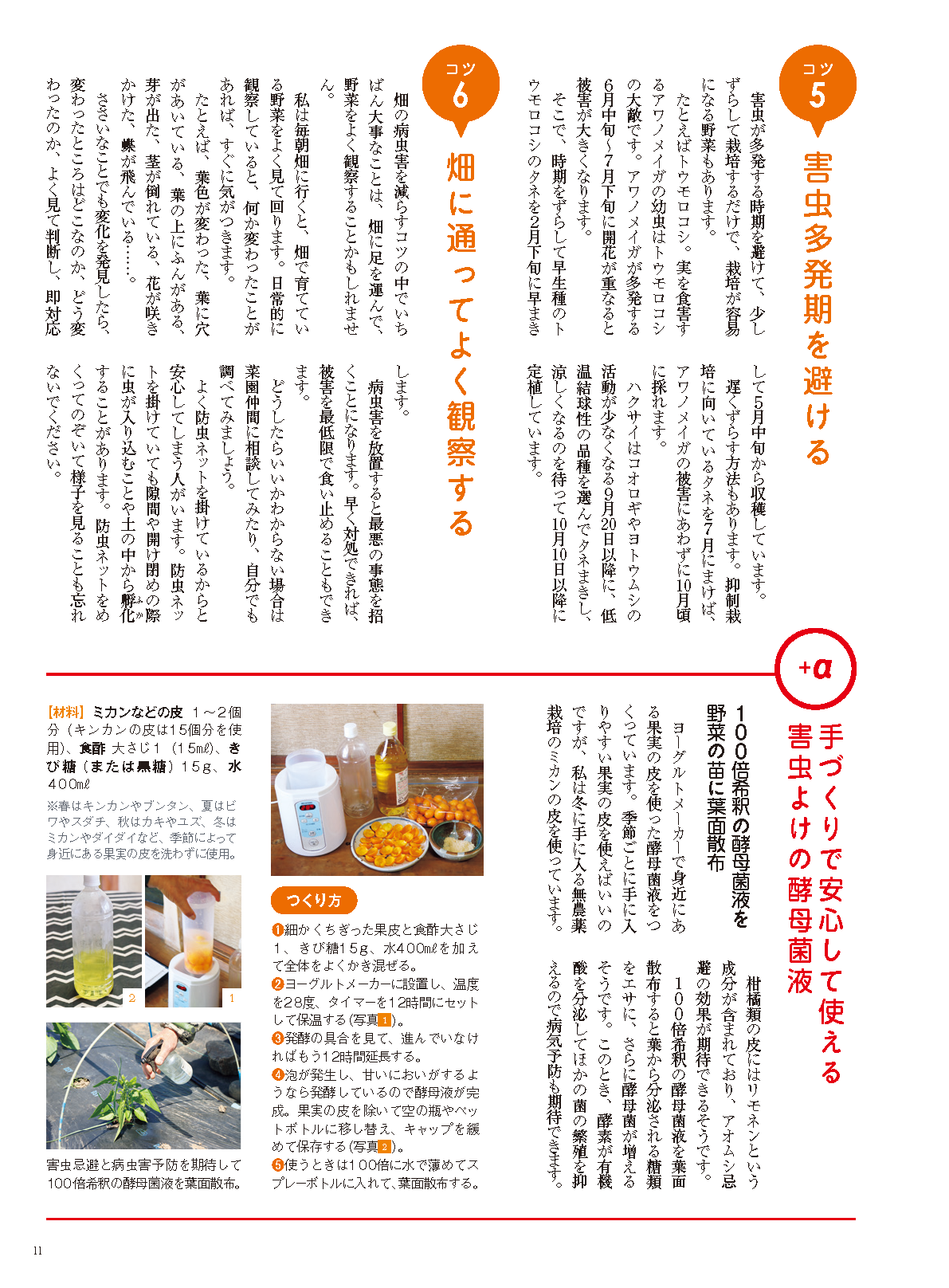 【電子版】野菜だより2023年7月夏号(112307)