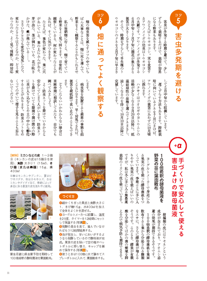 【電子版】野菜だより2023年7月夏号(112307)