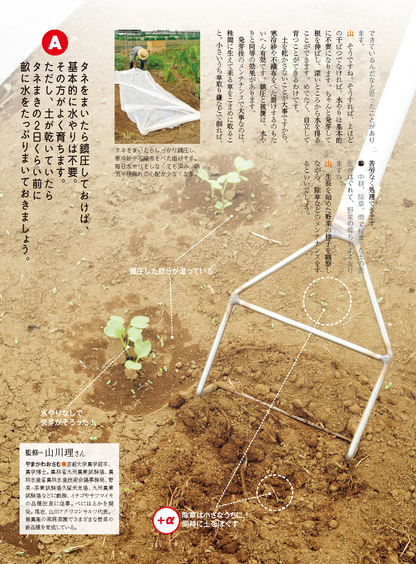 【電子版】野菜だより2023年9月秋号(112309)