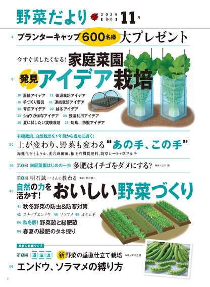 【書籍】野菜だより2024年11月冬号(112411)