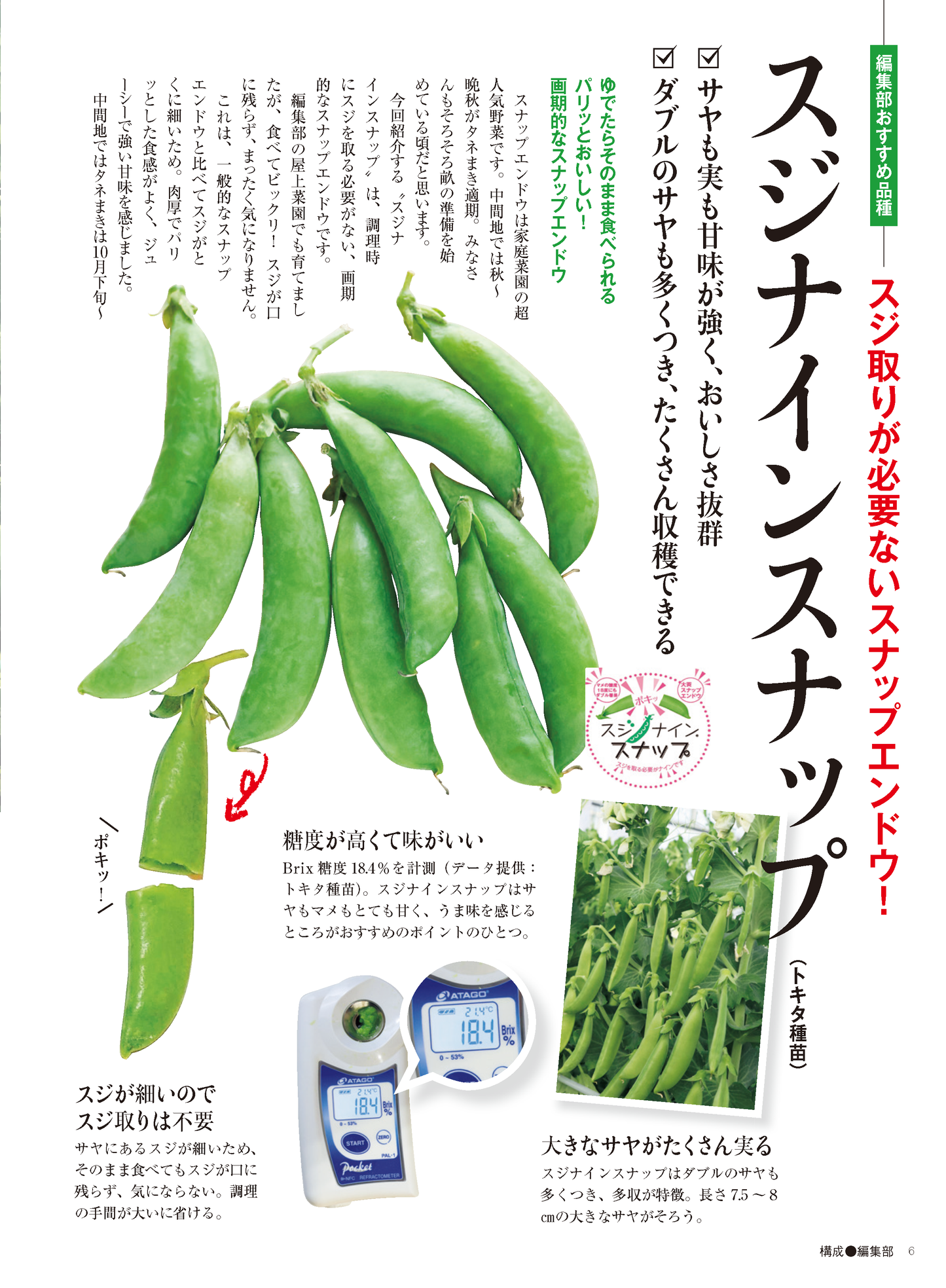 【書籍】野菜だより2024年11月冬号(112411)