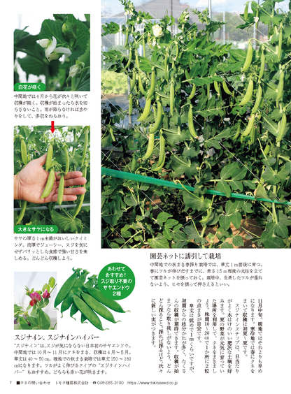 【書籍】野菜だより2024年11月冬号(112411)
