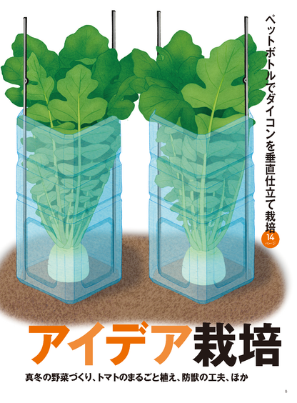 【書籍】野菜だより2024年11月冬号(112411)