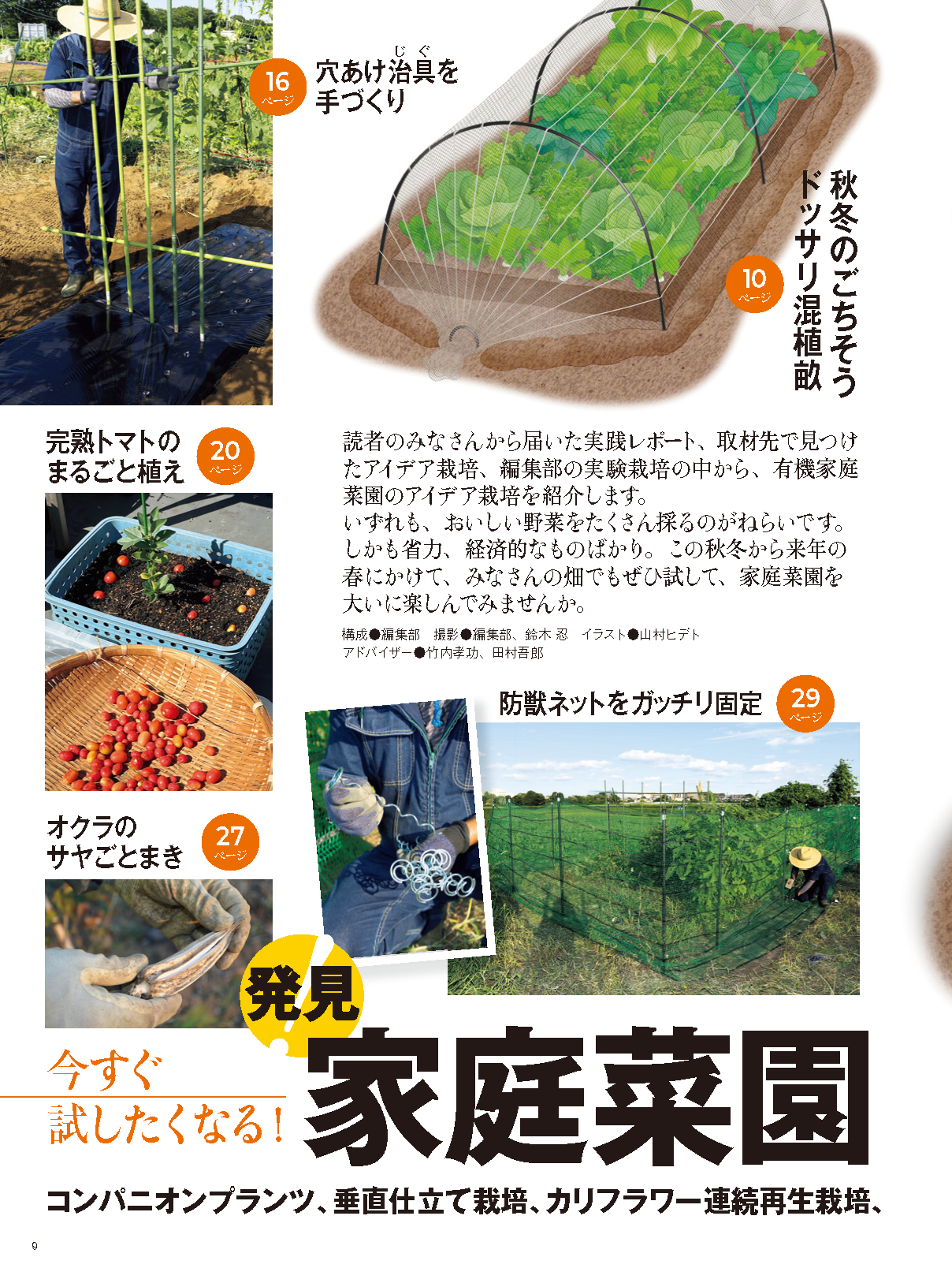 【書籍】野菜だより2024年11月冬号(112411)