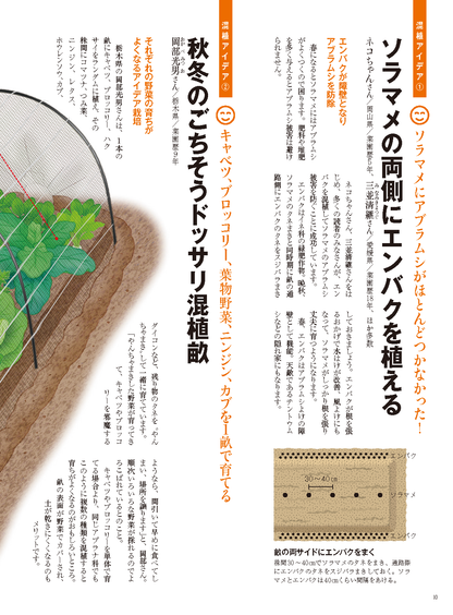 【書籍】野菜だより2024年11月冬号(112411)