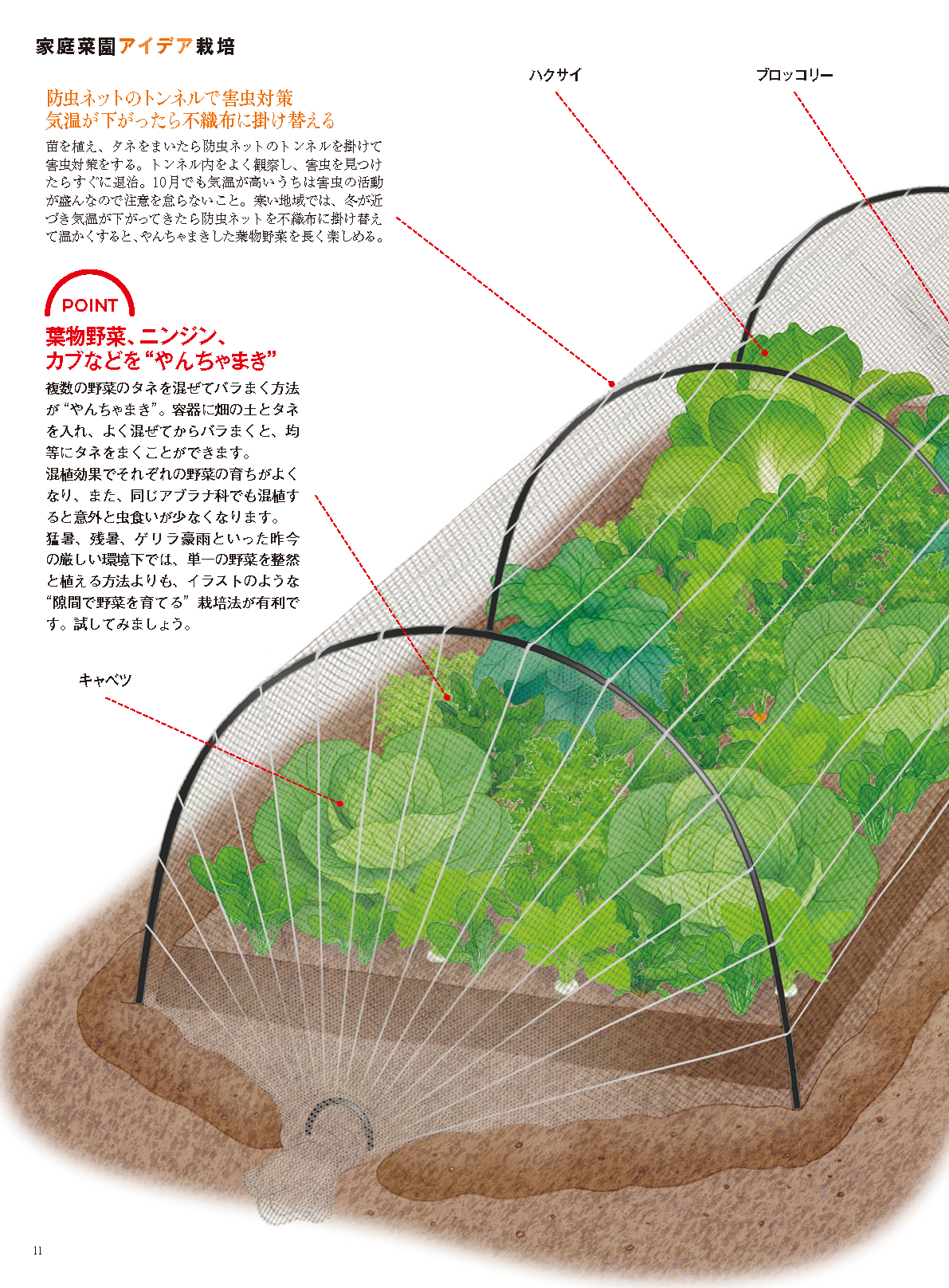 【書籍】野菜だより2024年11月冬号(112411)