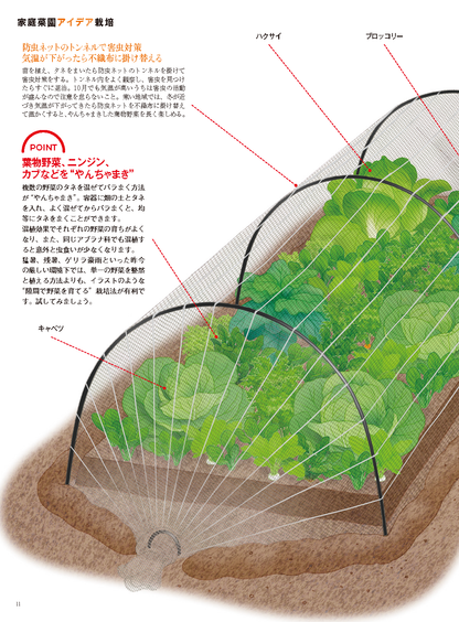 【書籍】野菜だより2024年11月冬号(112411)