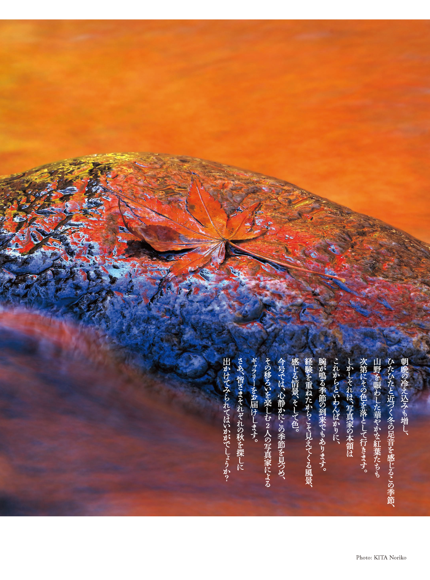 【電子版】風景写真2024年11・12月号(642411)