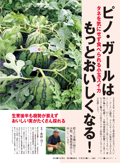 【電子版】野菜だより2024年1月新春号(112401)