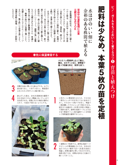 【電子版】野菜だより2024年1月新春号(112401)