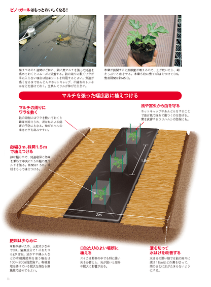【電子版】野菜だより2024年1月新春号(112401)