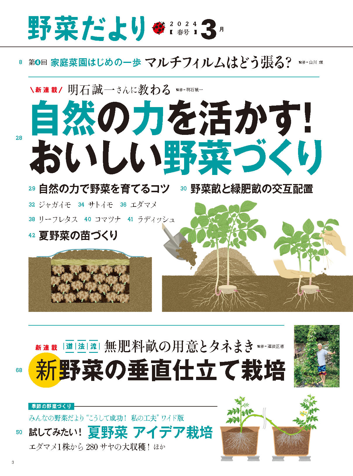 【電子版】野菜だより2024年3月春号(112403)