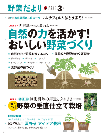 【電子版】野菜だより2024年3月春号(112403)