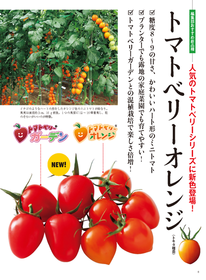 【電子版】野菜だより2024年3月春号(112403)
