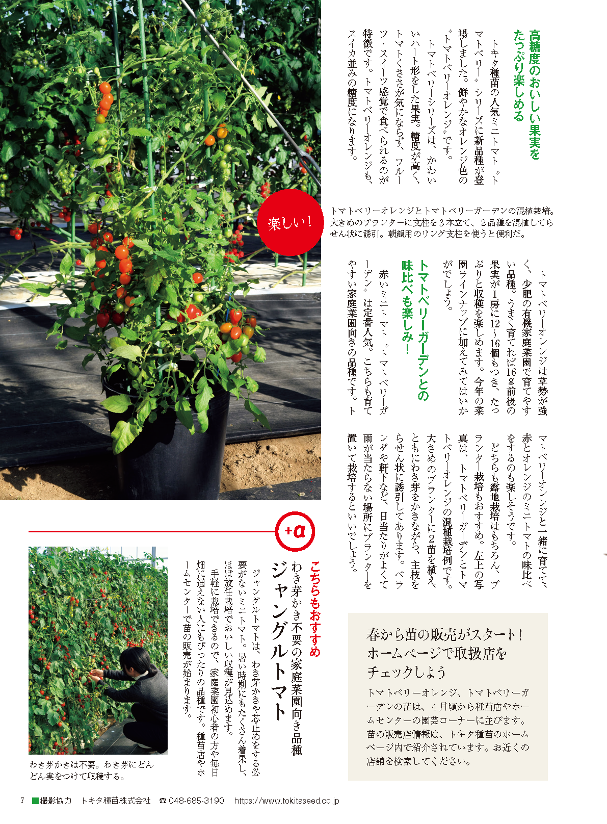【電子版】野菜だより2024年3月春号(112403)