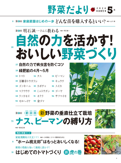 【書籍】野菜だより2024年5月初夏号(112405)