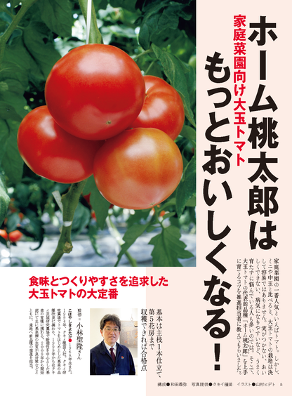 【書籍】野菜だより2024年5月初夏号(112405)