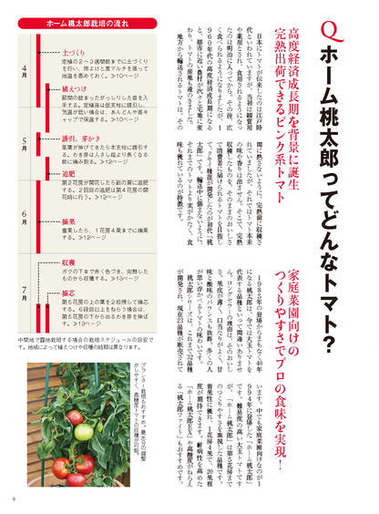 【書籍】野菜だより2024年5月初夏号(112405)