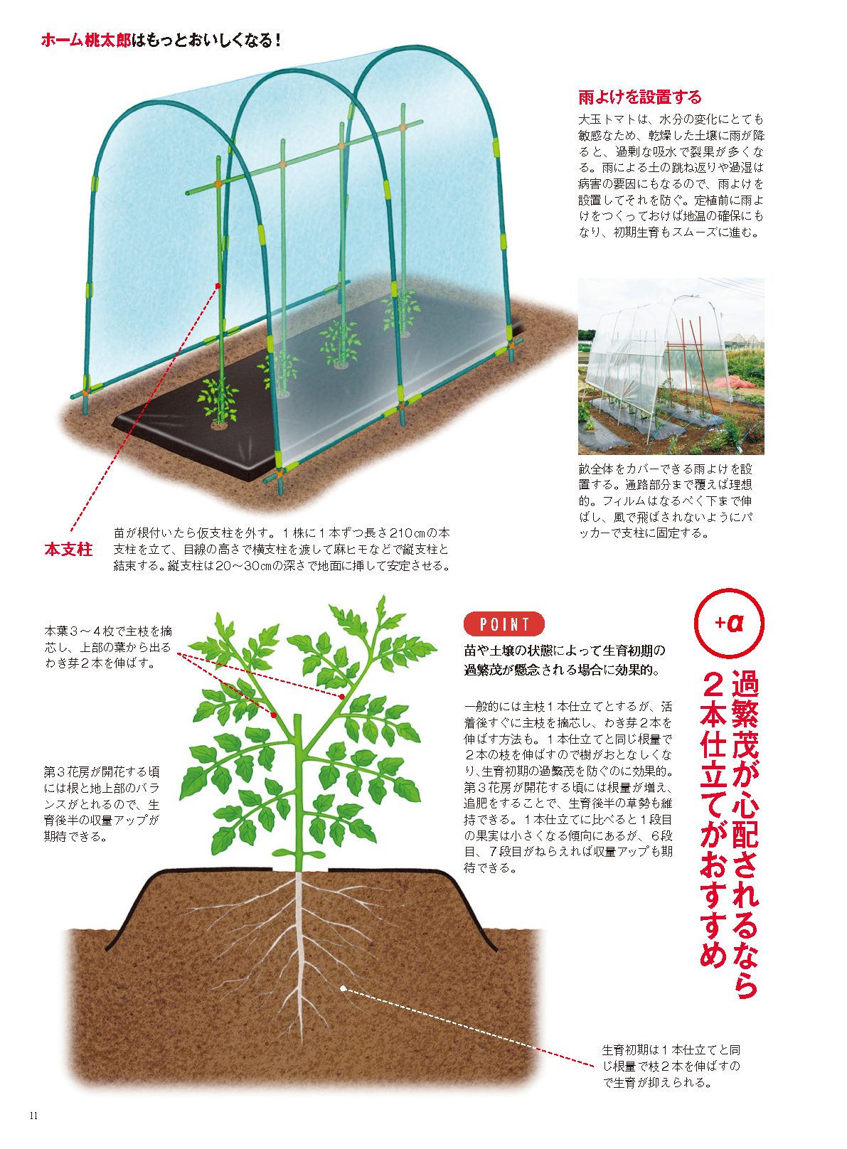 【書籍】野菜だより2024年5月初夏号(112405)