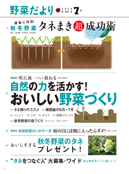 【書籍】野菜だより2024年7月夏号(112407)