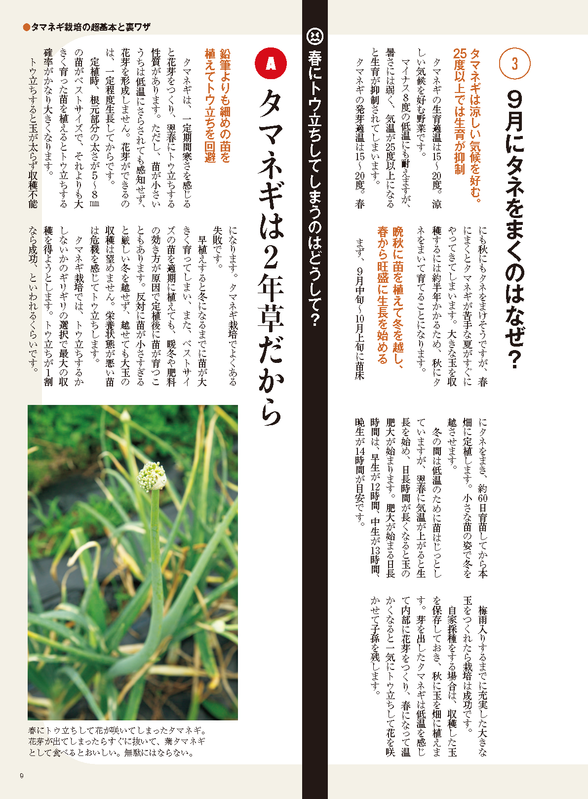 【書籍】野菜だより2024年9月秋号(112409)