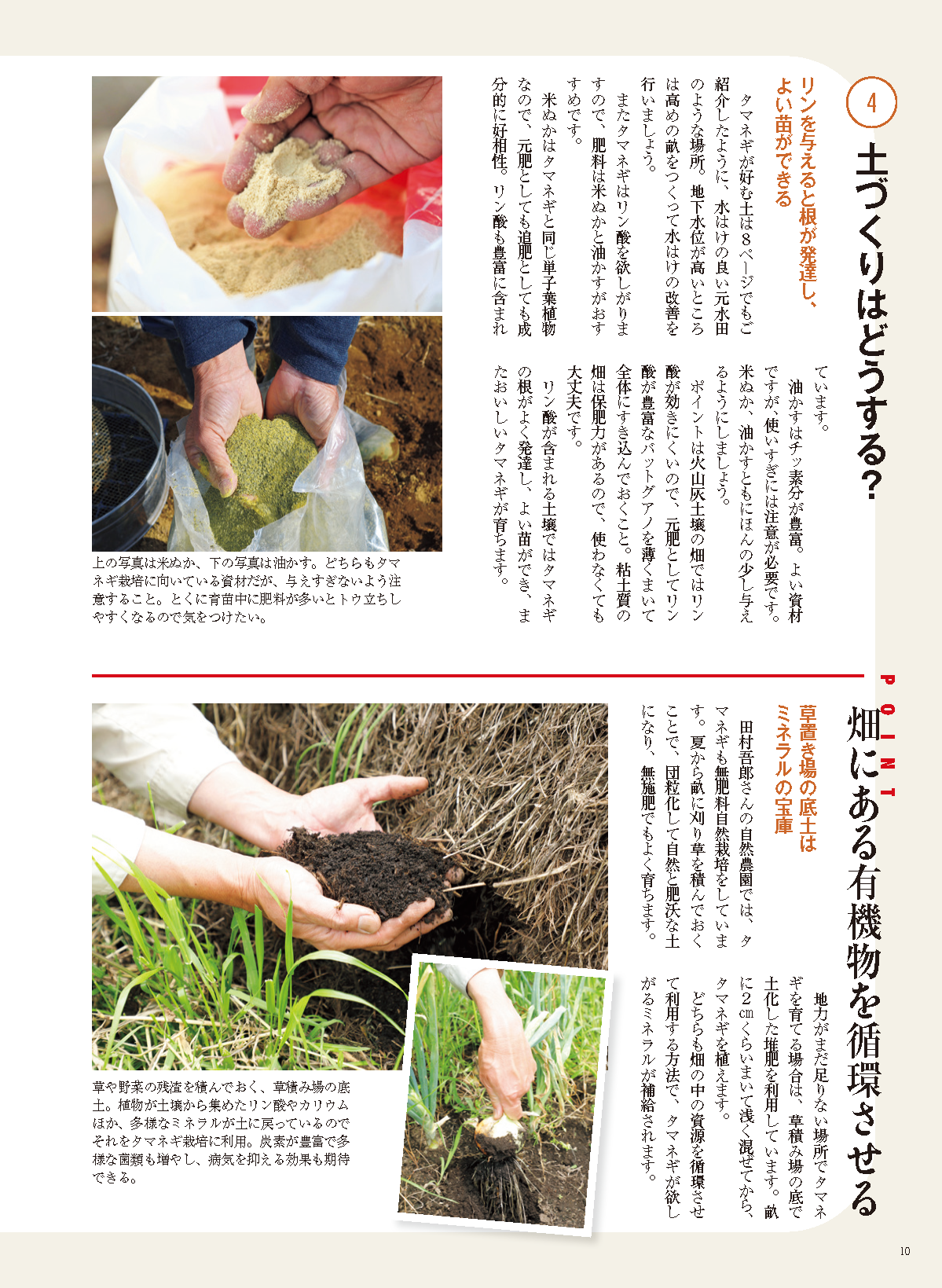 【書籍】野菜だより2024年9月秋号(112409)
