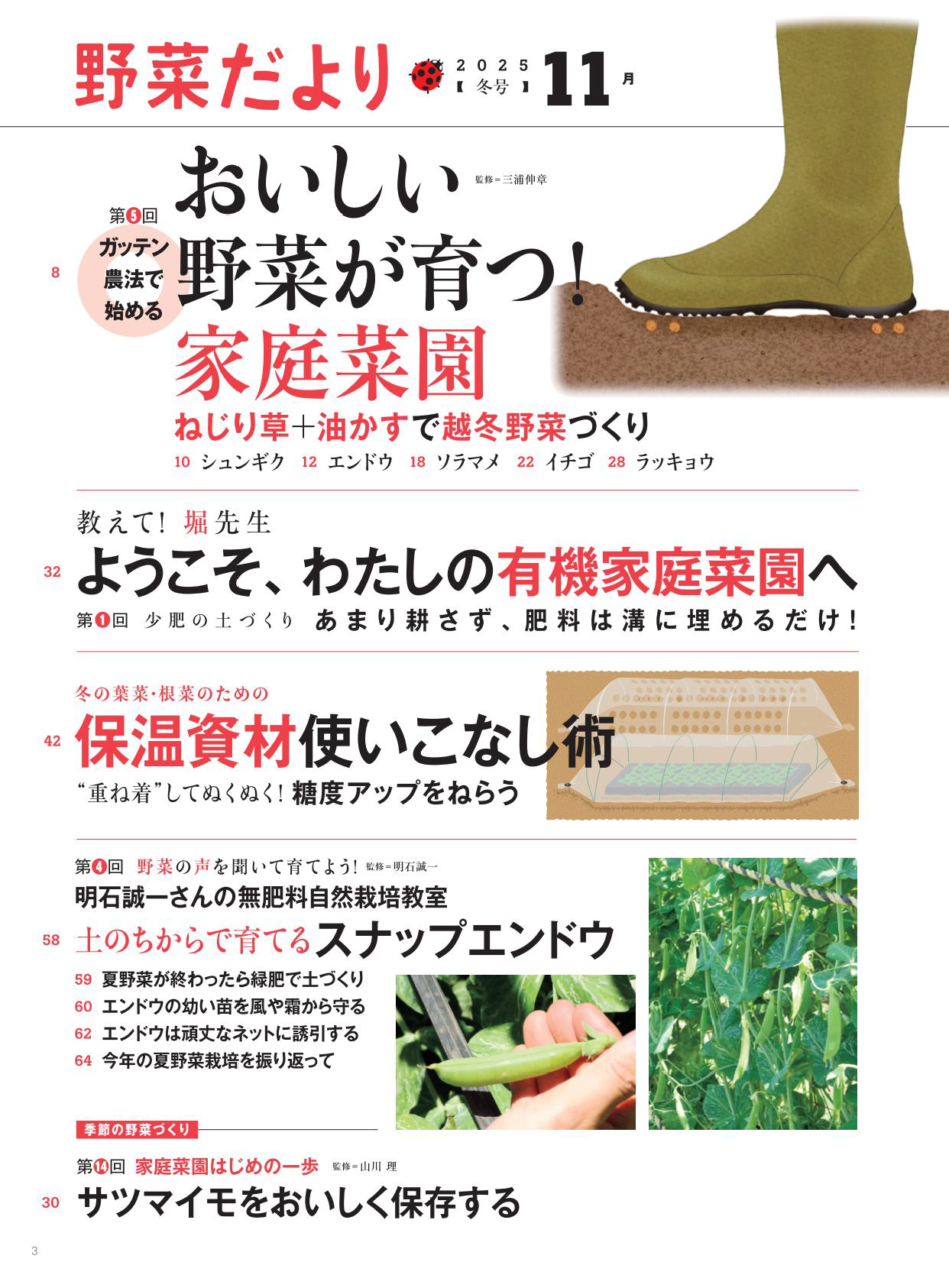 【書籍】野菜だより2025年11月冬号(112511)