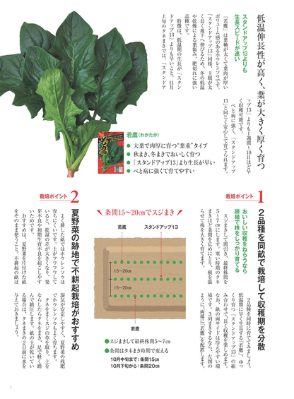 【書籍】野菜だより2025年11月冬号(112511)