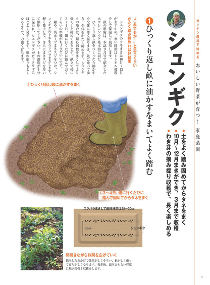 【書籍】野菜だより2025年11月冬号(112511)