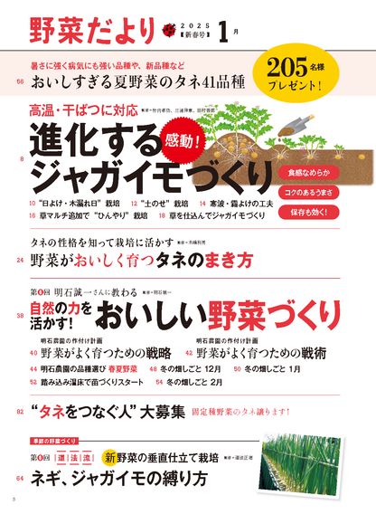 【書籍】野菜だより2025年1月新春号(112501)