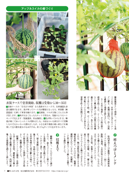 【書籍】野菜だより2025年1月新春号(112501)