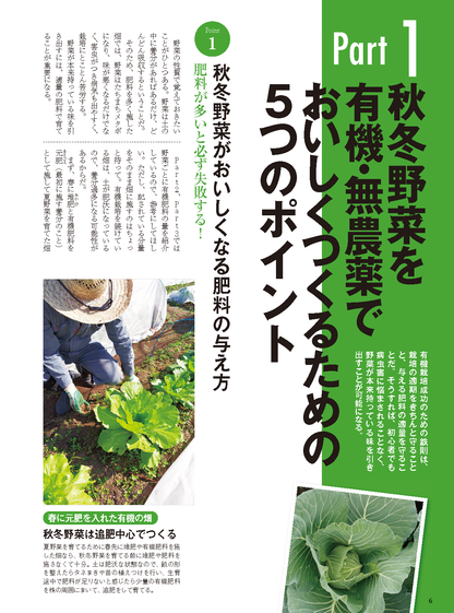 【書籍】秋冬野菜づくり 超基本とコツのコツ 2025年版（野菜だより2025年8月号増刊）(122508)