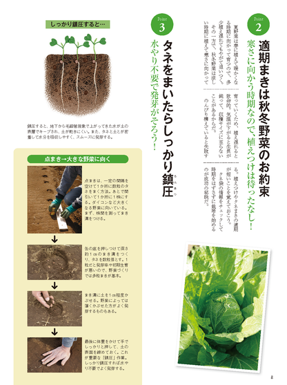 【書籍】秋冬野菜づくり 超基本とコツのコツ 2025年版（野菜だより2025年8月号増刊）(122508)