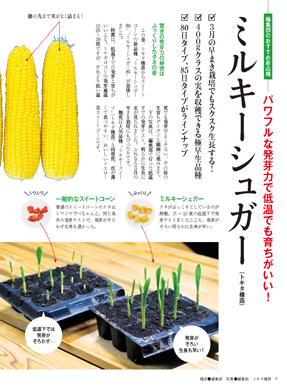 【書籍】野菜だより2025年3月春号(112503)