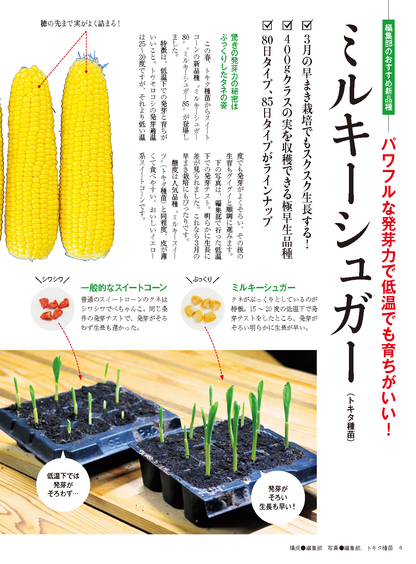 【書籍】野菜だより2025年3月春号(112503)