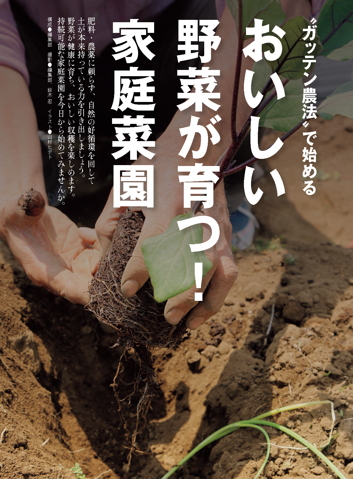 【書籍】野菜だより2025年3月春号(112503)