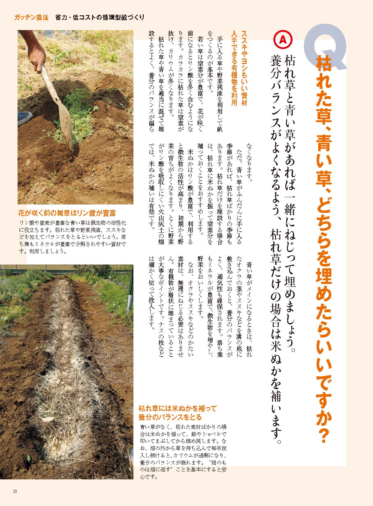 【書籍】野菜だより2025年3月春号(112503)