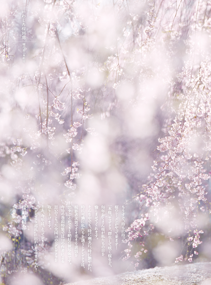 【電子版】風景写真2025年3・4月号(642503)