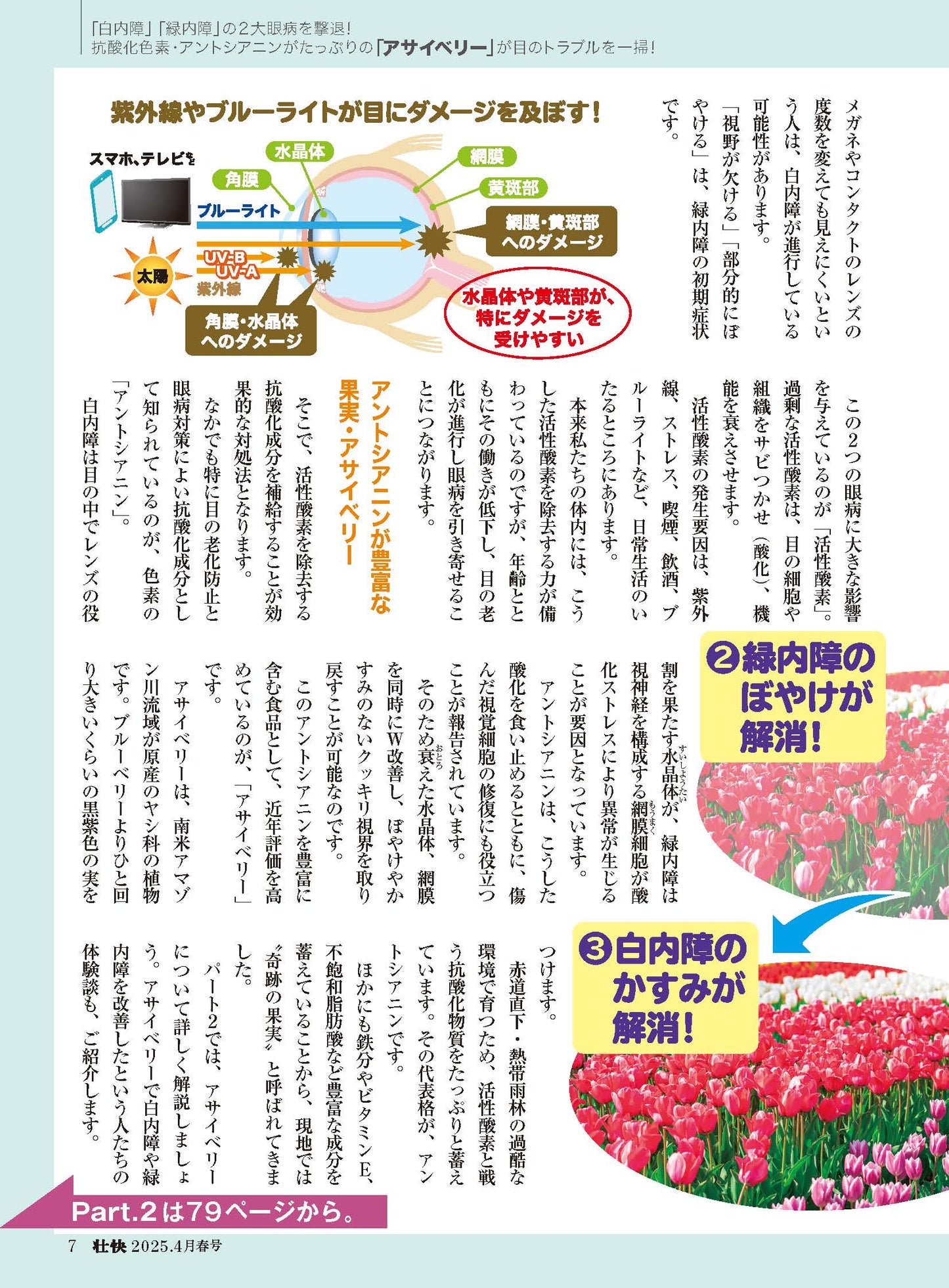 【書籍】壮快2025年4月春号(132504)